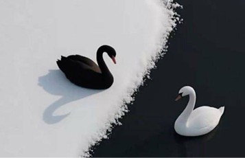 قوی سیاه در فروش سازمانی: وقتی غیرمنتظره‌ها بازی را عوض می‌کنند!